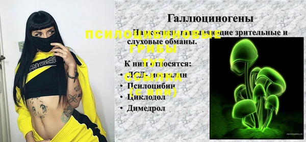 дживик Алексин