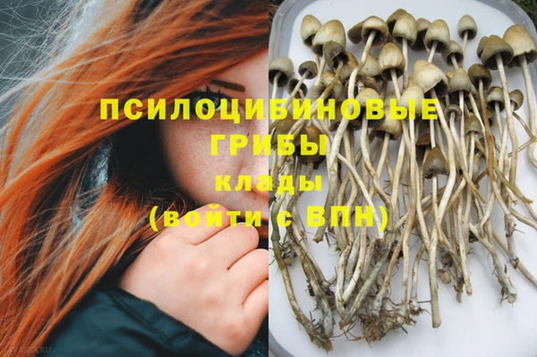 дживик Алексин